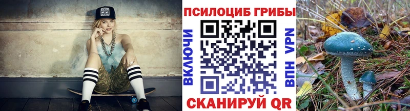 Псилоцибиновые грибы мицелий  наркотики  гидра зеркало  Тобольск 